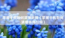 苹果手机如何清理听筒（苹果手机如何清理听筒垃圾）