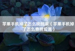 苹果手机掉了怎么找回来（苹果手机掉了怎么查找位置）