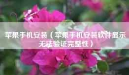 苹果手机安装（苹果手机安装软件显示无法验证完整性）