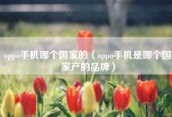 oppo手机哪个国家的（oppo手机是哪个国家产的品牌）