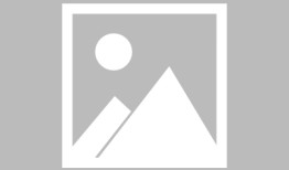 宝山南大 【中环铂樾】 户型官宣