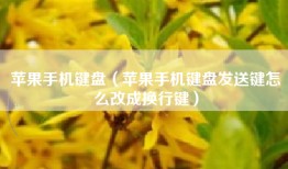 苹果手机键盘（苹果手机键盘发送键怎么改成换行键）