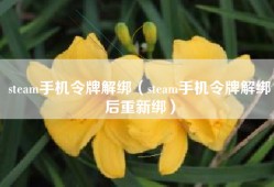 steam手机令牌解绑（steam手机令牌解绑后重新绑）