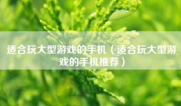 适合玩大型游戏的手机（适合玩大型游戏的手机推荐）