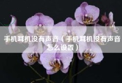 手机耳机没有声音（手机耳机没有声音怎么设置）