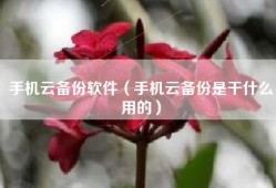 手机云备份软件（手机云备份是干什么用的）