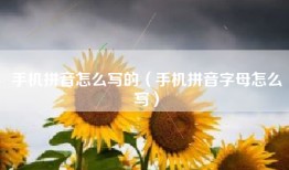 手机拼音怎么写的（手机拼音字母怎么写）