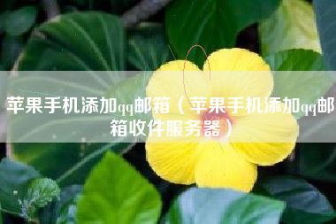 苹果手机添加qq邮箱（苹果手机添加qq邮箱收件服务器）