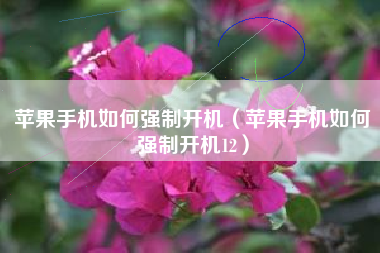 苹果手机如何强制开机（苹果手机如何强制开机12）