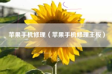 苹果手机修理（苹果手机修理主板）