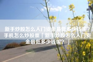 新手炒股怎么入门资金最低多少钱呢？手机怎么炒股票「新手炒股怎么入门资金最低多少钱呢？」